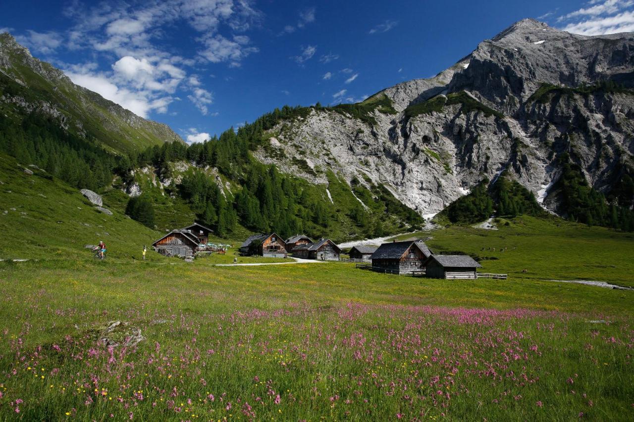Apartments Haufhof , Haus Im Ennstal Bei Schladming エクステリア 写真