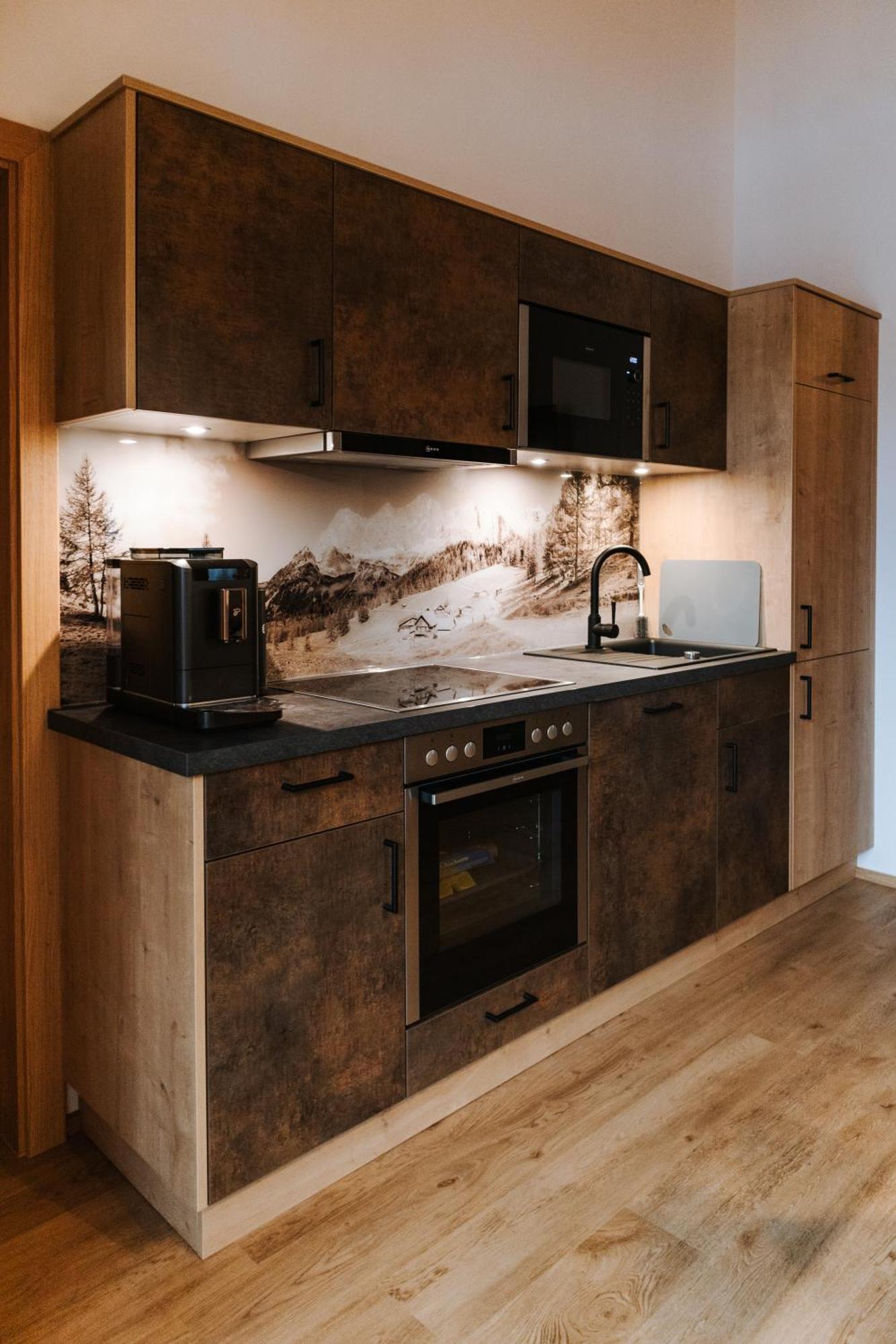 Apartments Haufhof , Haus Im Ennstal Bei Schladming エクステリア 写真