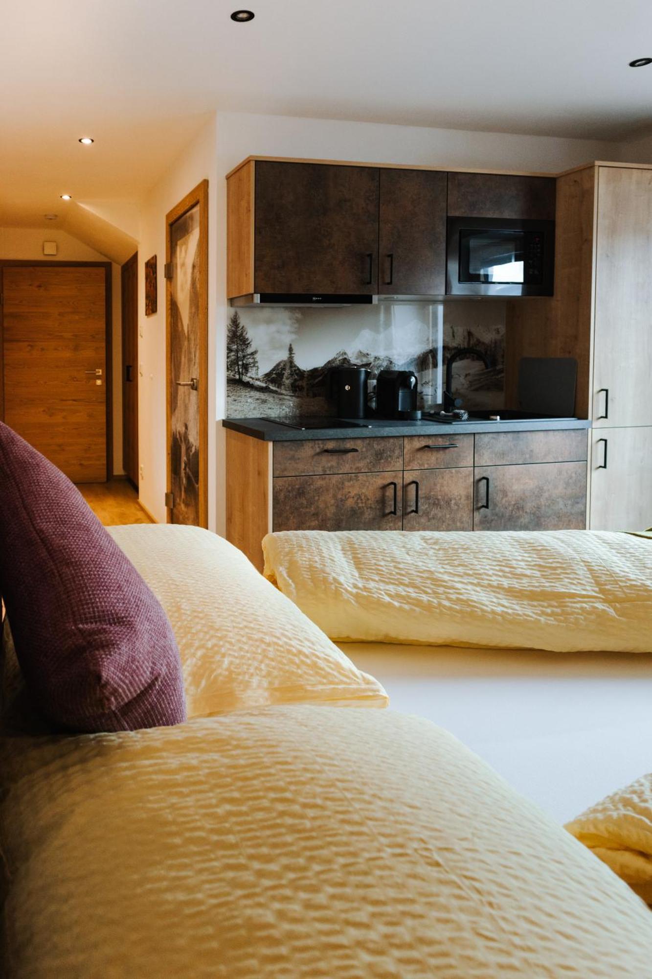 Apartments Haufhof , Haus Im Ennstal Bei Schladming エクステリア 写真